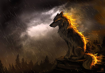 Wolf In Soothing Rain , wolf, animals, artist, artwork, digital-art, deviantart HD wallpaper