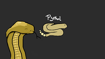 PytholThemeBetterDiscord, snake, Animal, python HD wallpaper