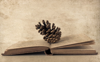 Cones, Miscellanea, Miscellaneous, Book, Paper, Old HD wallpaper