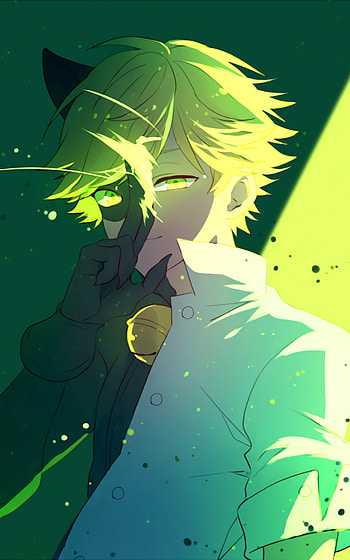 Adrien Agreste/Cat Noir, TV Show HD phone wallpaper