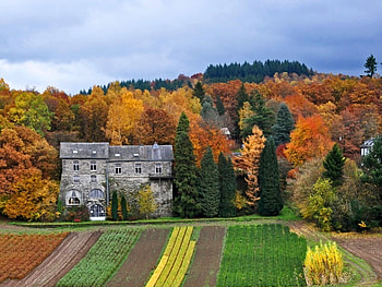 Colors of Autumn, , fields, colors, autumn, beautiful HD wallpaper