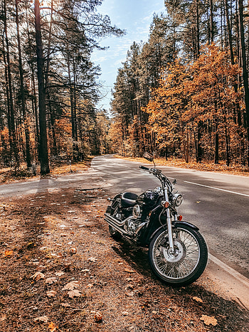Honda Shadow, motorcycle, vt750, chopper, autumn, moto, bike HD phone wallpaper