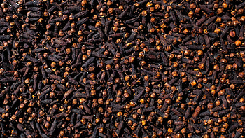 Kandyan cloves, Diaspora Co, Exotic spice, Flavourful addition HD wallpaper