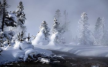 Winter, Nature, Rivers, Trees, Snow, Fog, Roots, Steam HD wallpaper