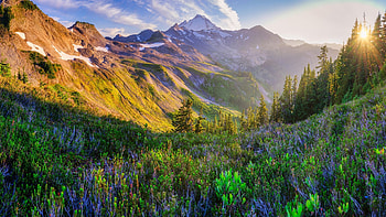 Mt. Baker in golden hour, Washington, valley, peaks, landscape, trees, clouds, sky, usa HD wallpaper