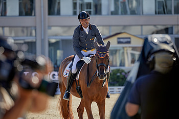 Eventing horse triathlon, Equestrian sports, Eventing , Horse sports HD wallpaper