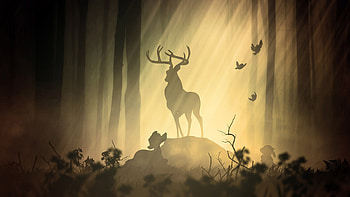 Deer Fantasy Forest, deer, forest, fantasy, artist, artwork, digital-art, behance HD wallpaper