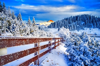 Winter, graphy, wonderful, snowflakes, snowflake, snow, trees, , sun, cold, beautiful, tree, nature, sky, lovely, splendor, ice HD wallpaper