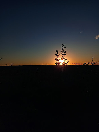 Gün Batımı, Şafak, Doğa, Güneş HD phone wallpaper