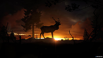 Animals of the Dawn, sillhouette, 3d, deer, animals, dawn HD wallpaper