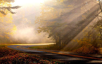 sunny road, sunny, road, nature, sun HD wallpaper