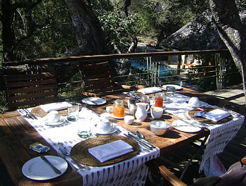 Leadwood, happy place, treetop, breakfast, luxury HD wallpaper