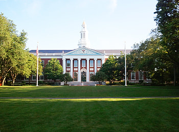 Harvard University, Louis Vuitton case study, Business analysis, Prestigious collaboration HD wallpaper