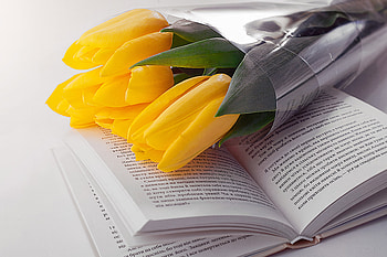 Flowers, Tulips, Bouquet, Book HD wallpaper
