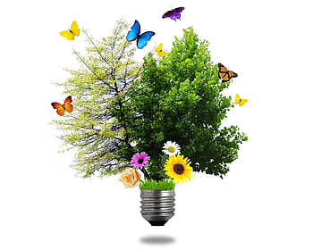 Natural Bulb, butterflies, trees, flowers, grass, bulb HD wallpaper