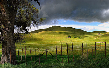 Nature, Sky, Clouds, Wood, Tree, Hills, Fence, Gloomy, Fencing, Enclosure, Sticks, Stick HD wallpaper