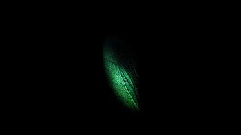 Samsung Galaxy Fold Original, samsung-galaxy-fold, butterfly, samsung, stock, original, artist, digital-art, dark, black, oled HD wallpaper