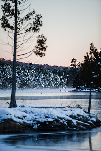 Winter, Nature, Rivers, Trees, Snow, Shore, Bank HD phone wallpaper