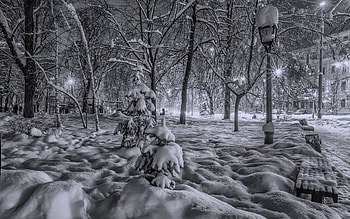 winter in a park in kiev at night r, winter, night, city, lamps, trees, benches, r, park HD wallpaper