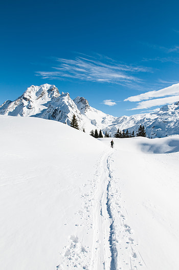 Nature, Mountains, Snow, Snow Covered, Snowbound, Track, Skier HD phone wallpaper