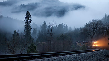 train in a foggy valley, fog, valley, lights, trees, tracks, train HD wallpaper