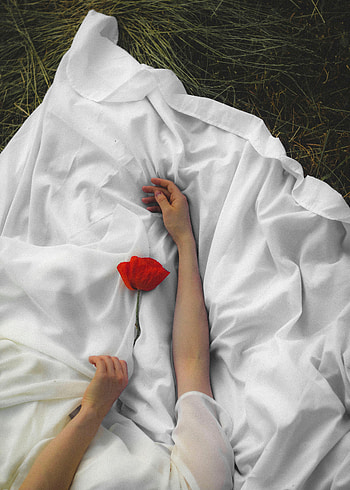 Flower, Miscellanea, Miscellaneous, Cloth, Hands, Handsomely, It's Beautiful, Poppy HD phone wallpaper