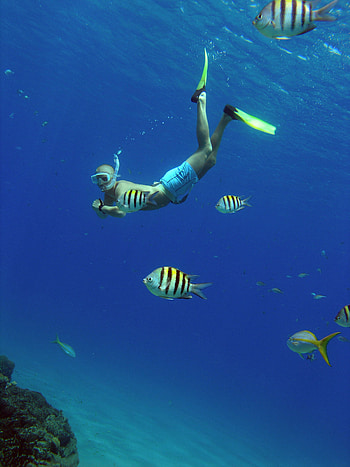 Sosua bay, Snorkeling HD phone wallpaper