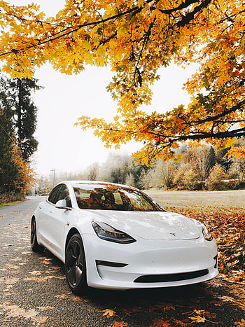 Sports, Autumn, Cars, Car, Machine, Sports Car HD phone wallpaper