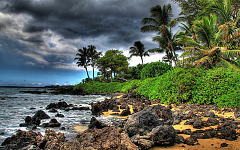Maui Hawaii, Beautiful backgrounds, Tropical paradise HD wallpaper