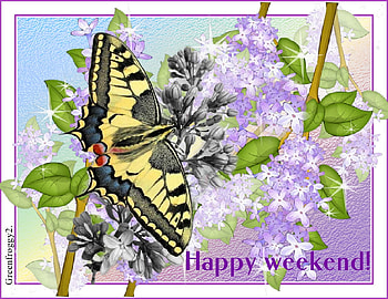 HAPPY WEEKEND, COMMENT, WEEKEND, CARD, HAPPY HD wallpaper
