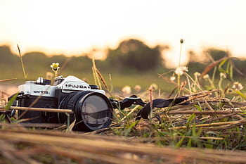 A vintage camera lying in a field with dry grass and wildflowers, captured during daylight. HD wallpaper