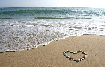 Sea Shore, Beach, Sand, Shore, Sea HD wallpaper