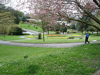 peel park, parks, green walking relaxing HD wallpaper
