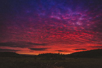 Nature, Sunset, Sky, Field, Beautiful Landscape HD wallpaper