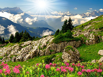Mountain paradise, rays, hills, slope, paradise, grass, rocks, mountain, freshness, greenery, flowers, sky, sun HD wallpaper