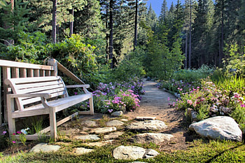 The Choice is Yours!, bench, path, landscape, r, canon, beautiful, beauty, scenery, gorgeus, flowers HD wallpaper