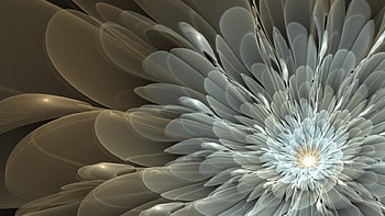 3D Flower, white, art, petals, flower, pattern HD wallpaper