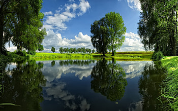 Landscape, Rivers, Trees HD wallpaper