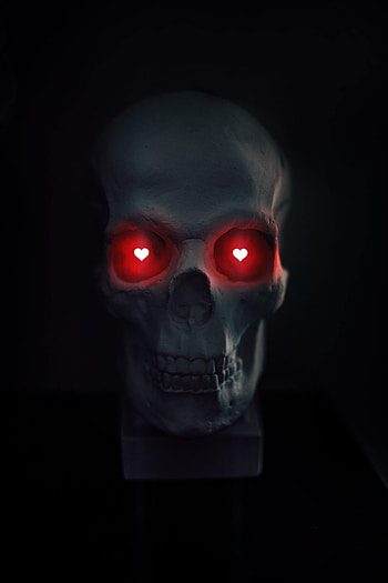 Love, Dark, Heart, Skull HD phone wallpaper