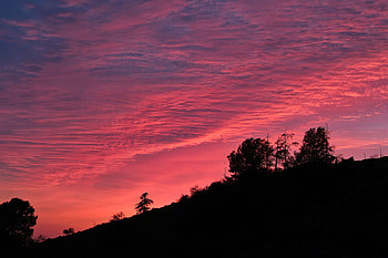 Trees, Sky, Twilight, Clouds, Dark, Dusk, Hills, Outlines, Hill HD wallpaper