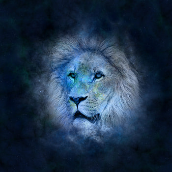 Art, Muzzle, Lion, Space, Mane, Cosmic HD phone wallpaper