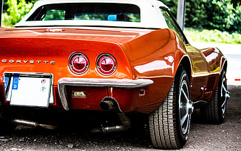 Auto, rear, Chevrolet Corvette HD wallpaper