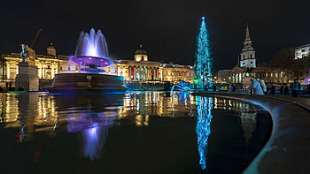 Trafalgar Square Christmas, Festive spirit, Ornate tree, Festive decorations HD wallpaper