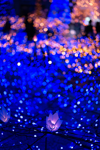 Holidays, New Year, Glare, Shine, Light, Christmas, Garland, Bokeh, Boquet, Garlands HD phone wallpaper