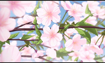 Pink Blossom, floral, beauty, nice, flower, scenic, cherry blossom, persona 4, blossom, japanese, sweet, scene, japan, beautiful, branch, pink, plant, pretty, sakura, branches, sakura blossom, lovely HD wallpaper