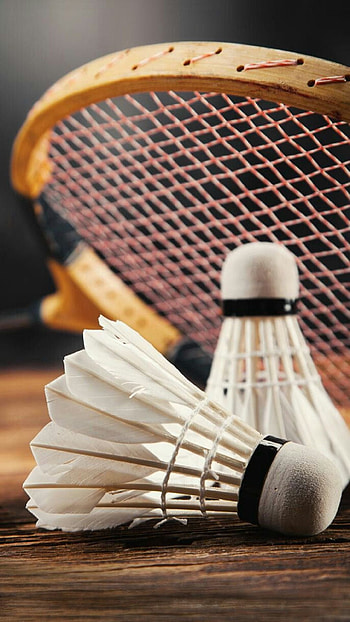 badminton , Sporting excellence, Athletes in action, Inspiring HD phone wallpaper
