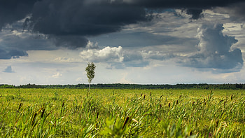 Gray Cloudy Sky, Ultra , Stunning landscape backdrop, High-resolution HD wallpaper