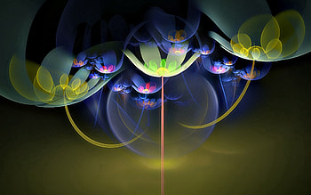 Abstract, Patterns, Flower, Shine, Light, Lines, Fractal HD wallpaper