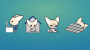 Aggretsuko, Best , Christopher Johnson's collection, Top picks HD wallpaper