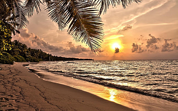 Magnificent Sunset Over Tropical Beach, palm, tropical, trees, sky, nature, sunset, beach HD wallpaper